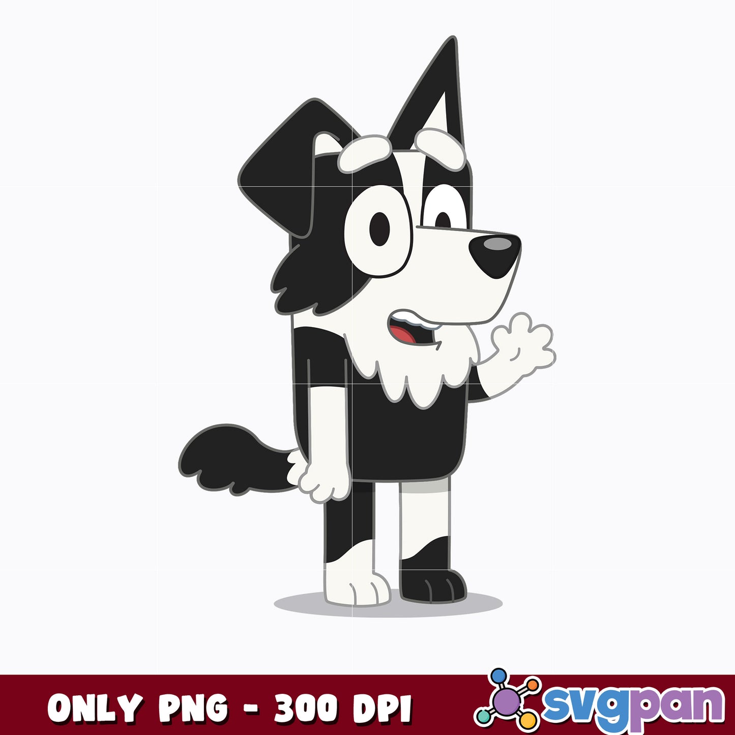 Mackenzie Border Collie png