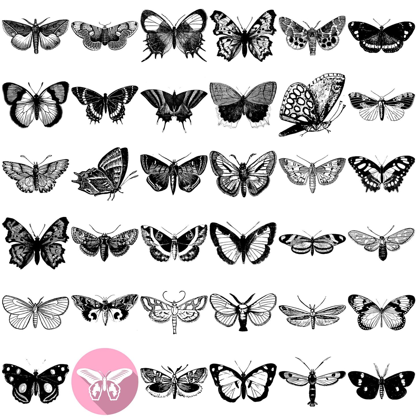 Butterfly design svg bundle, butterflies svg, butterfly drawing svg