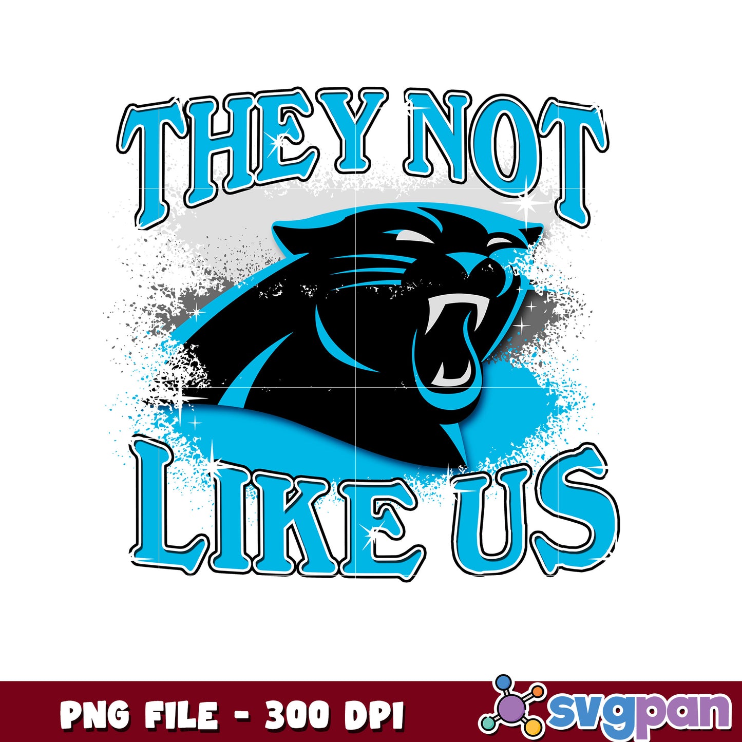 Carolina panthers team logo they not like us png, panthers nfl png, nfl games png