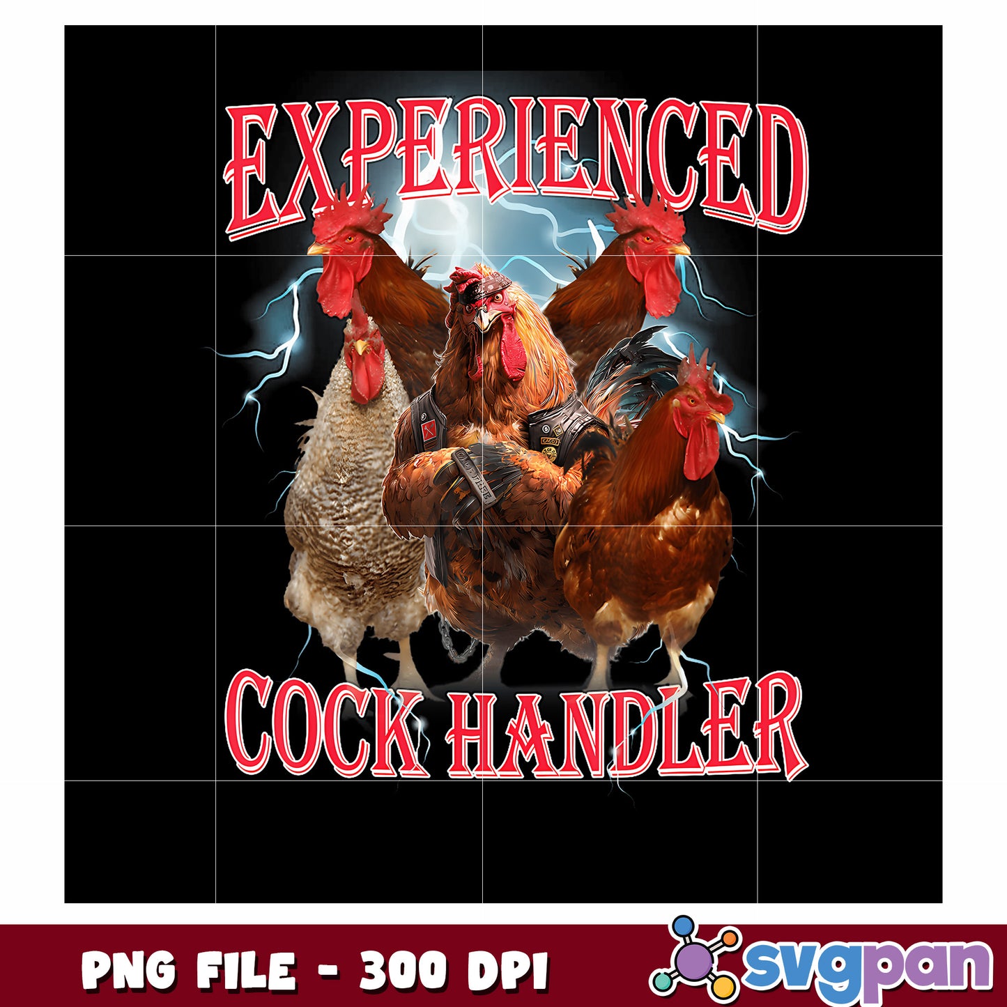 Experienced cook handler png, hilarious text png, funny chicken png