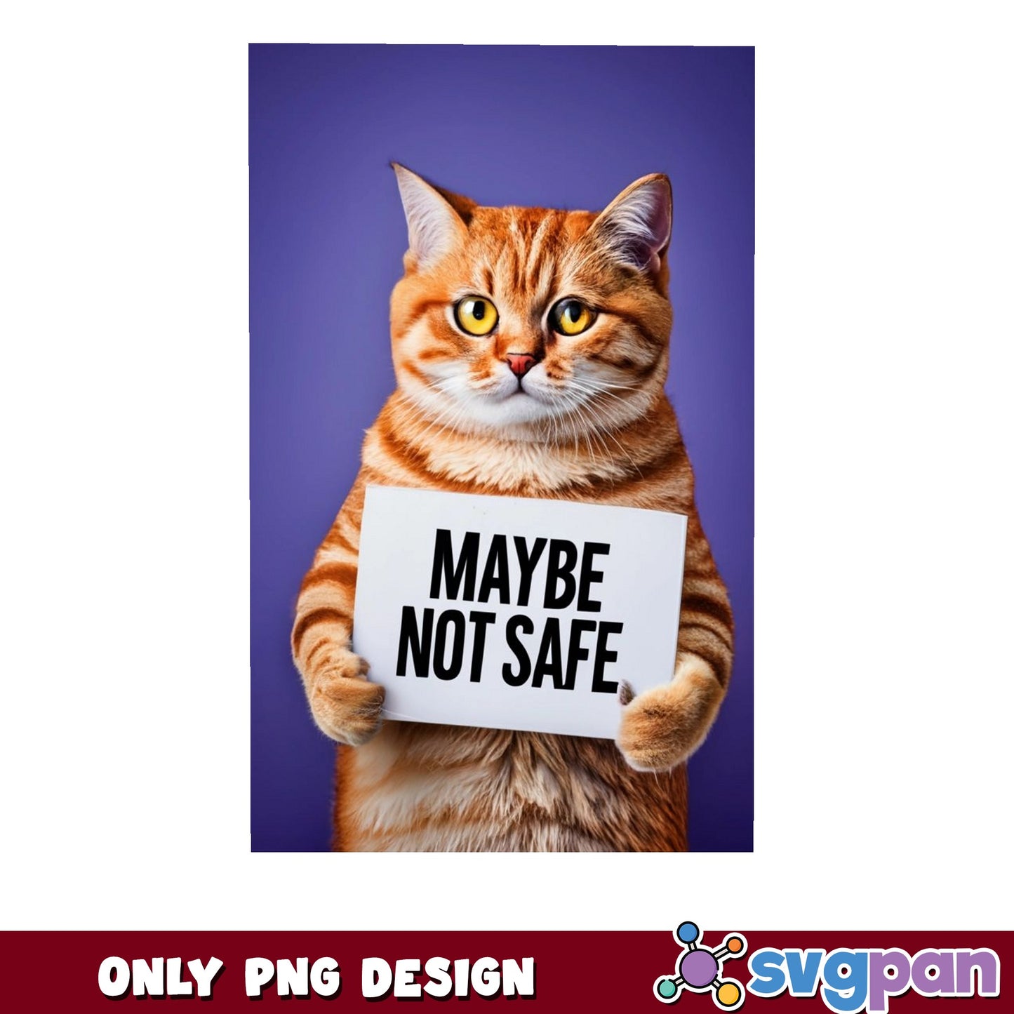 Funny Cat Maybe Not Safe PNG, Sarcastic Cat Meme PNG, Cute Cat Sign PNG