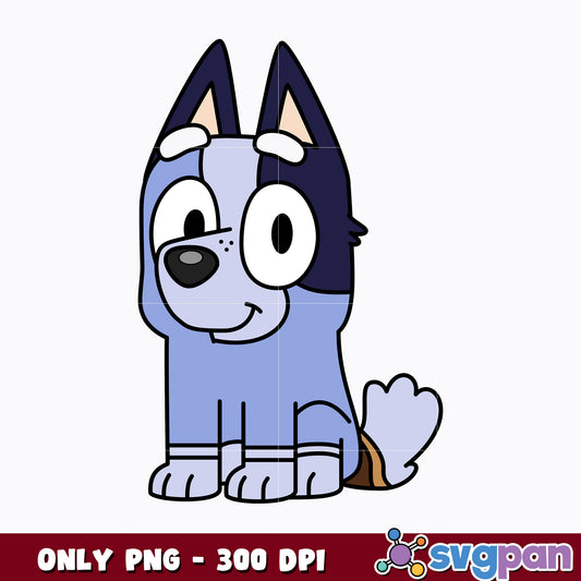 Socks Heeler cartoon png 