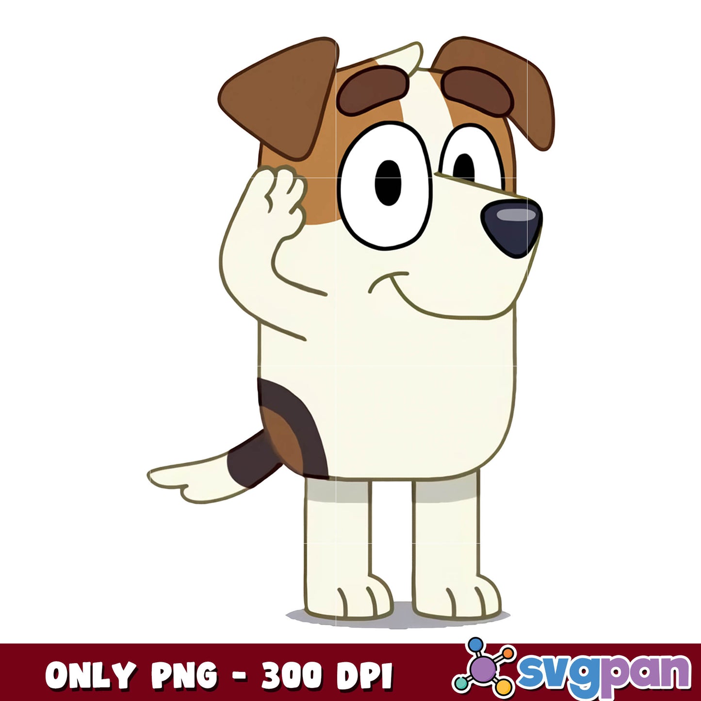 Bluey dog jack cartoon png