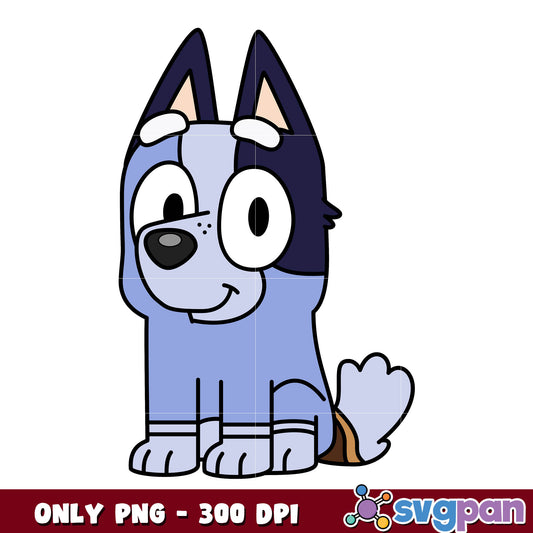 Bluey cartoon socks dog png