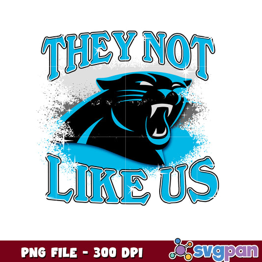 Carolina panthers team logo they not like us png, panthers nfl png, nfl games png