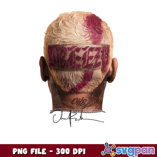 Christ brown breezy hair png, american artist png, us music png