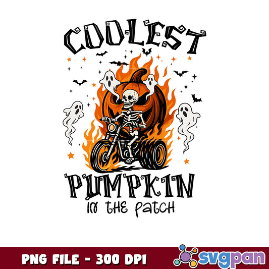 Coolest pumkin in the patch png, halloween holiday png, halloween costume png