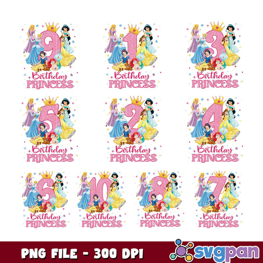 Disney Princess Birthday Bundle PNG