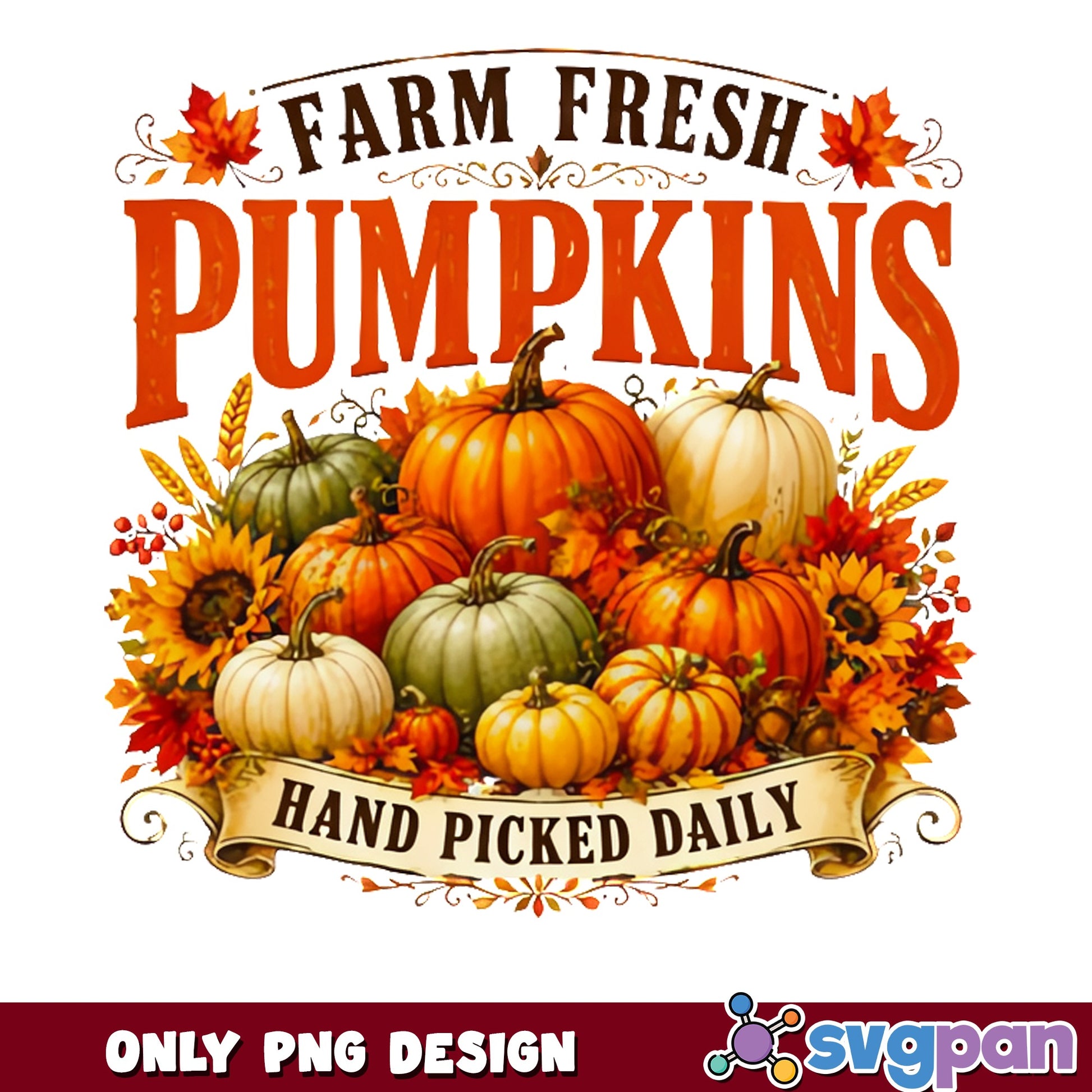Farm Fresh Pumpkins Hand Picked Daily PNG, Fall PNG, Autumn PNG