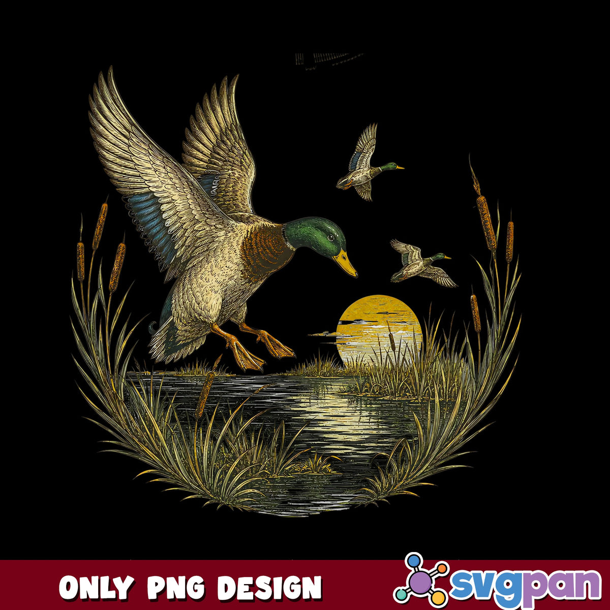 Flying Mallard Duck Vintage PNG, Duck Hunting Wetland PNG, Wildlife PNG