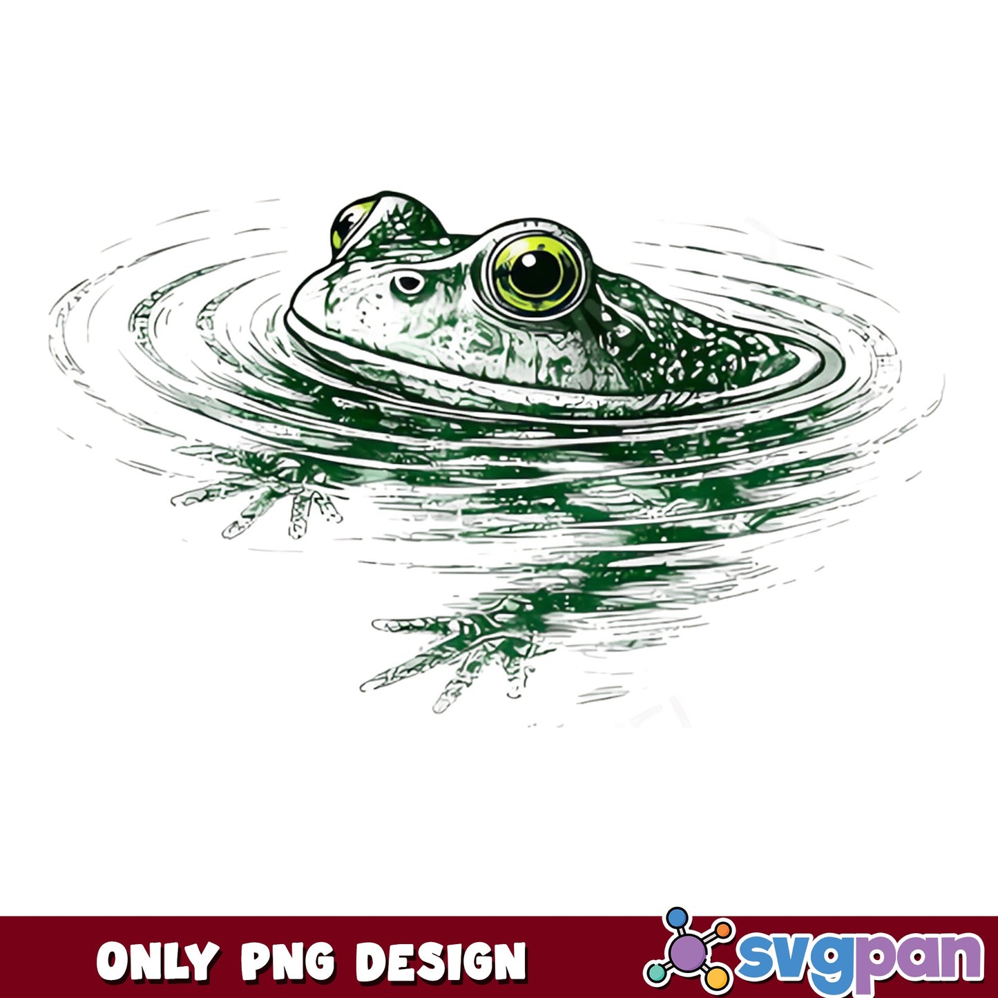 Frog In Water PNG, Green Frog Clipart PNG, Frog Pond PNG