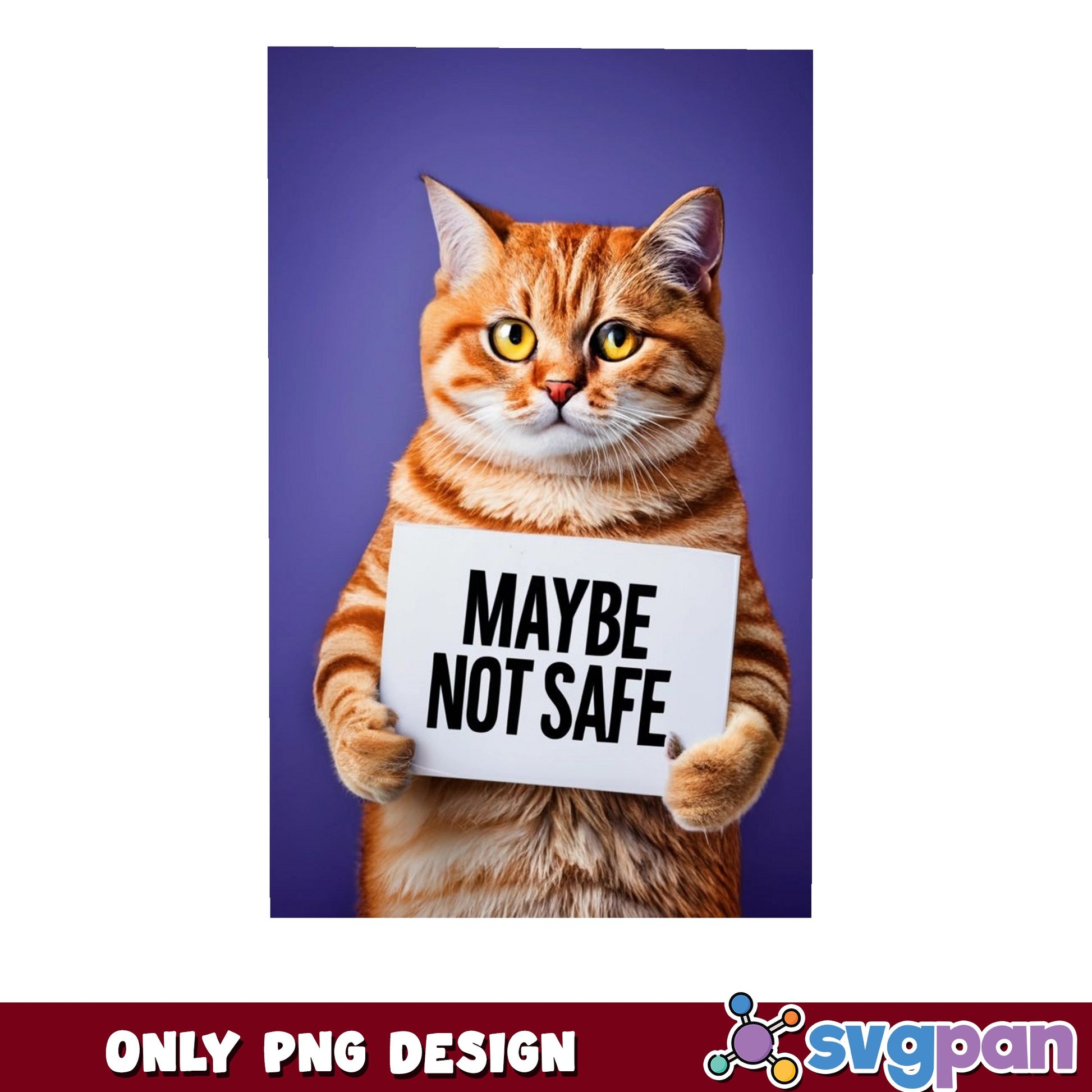 Funny Cat Maybe Not Safe PNG, Sarcastic Cat Meme PNG, Cute Cat Sign PNG