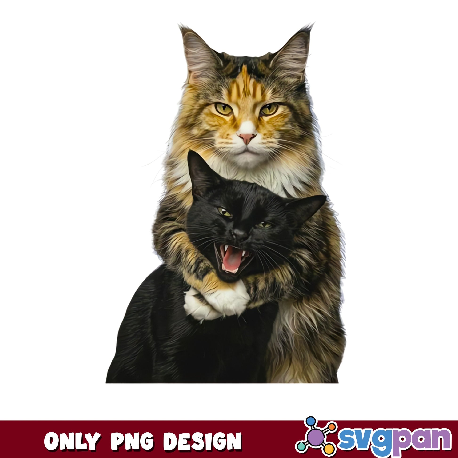 Funny Cats Hug Meme PNG, Cute Cat Lovers Gift PNG, Cat PNG
