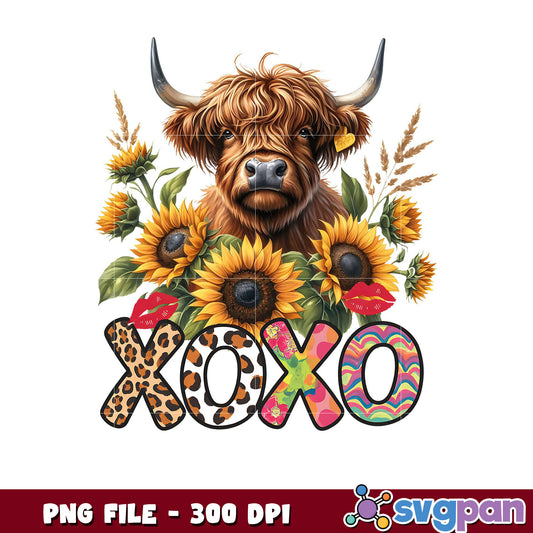 Highland Cow with Sunflowers and XOXO Design PNG, 300 DPI