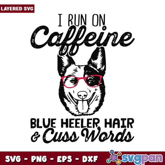 I run on caffeine, blue heeler hair and cuss words SVG design