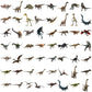 Jurassic Park png bundle, jurassic world rebirth png, jurassic world toys png