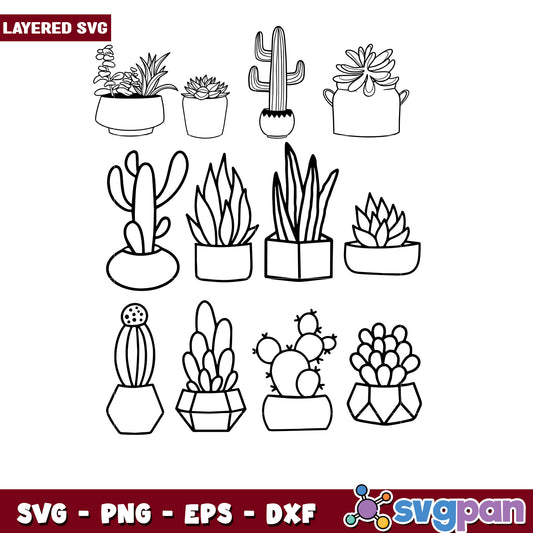 Layered Cactus Succulent SVG Bundle