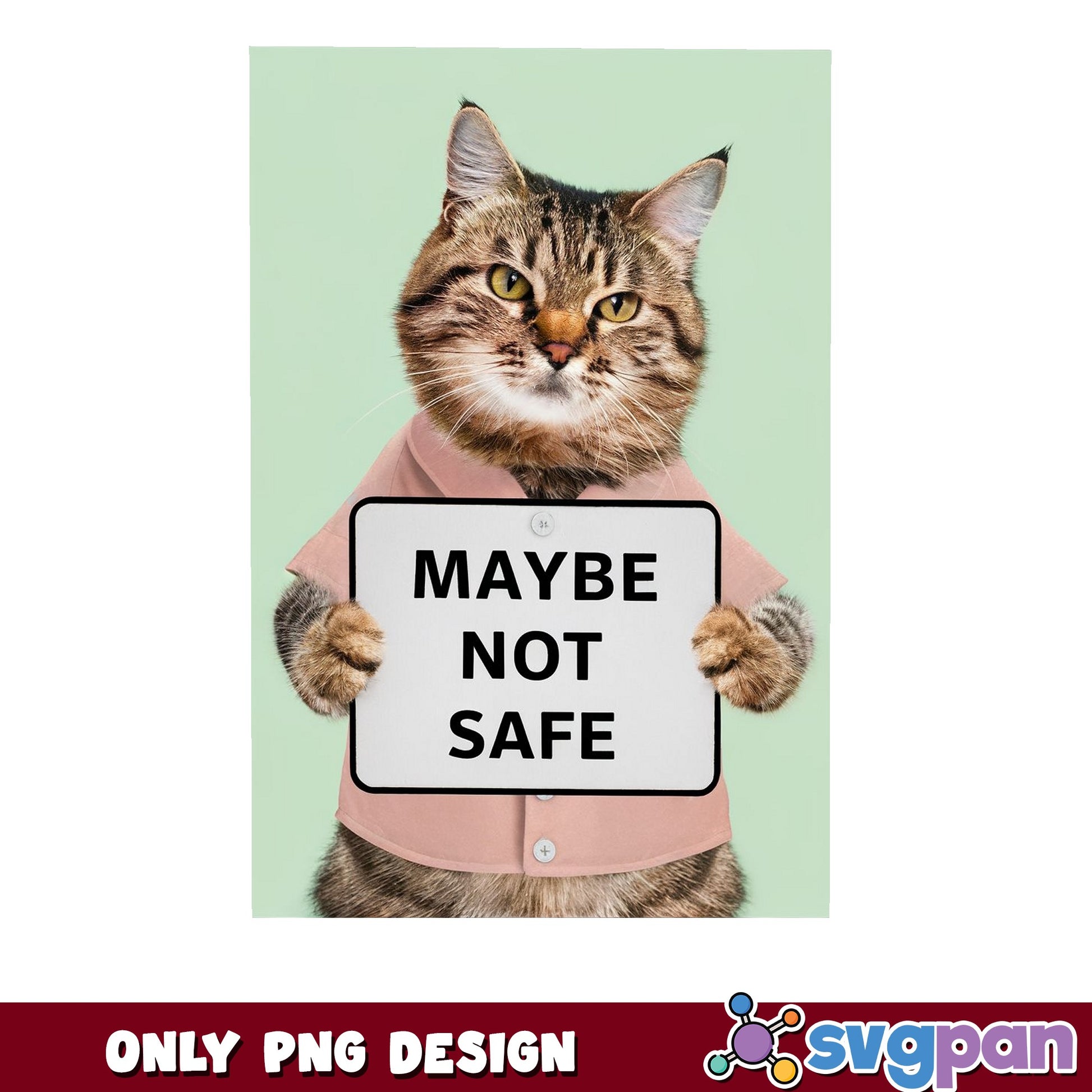 Maybe Not Safe Cat Meme PNG, Sarcastic Funny Cat PNG, Cat Lover Gift PNG