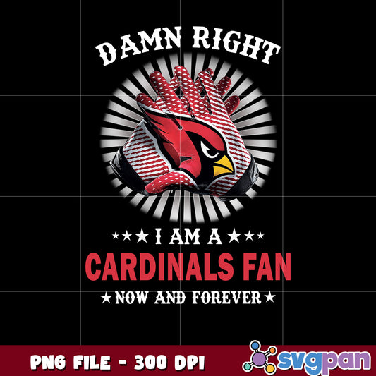 Nfl arizona cardinals fan club design png, american football fans 2025 png, nfl png