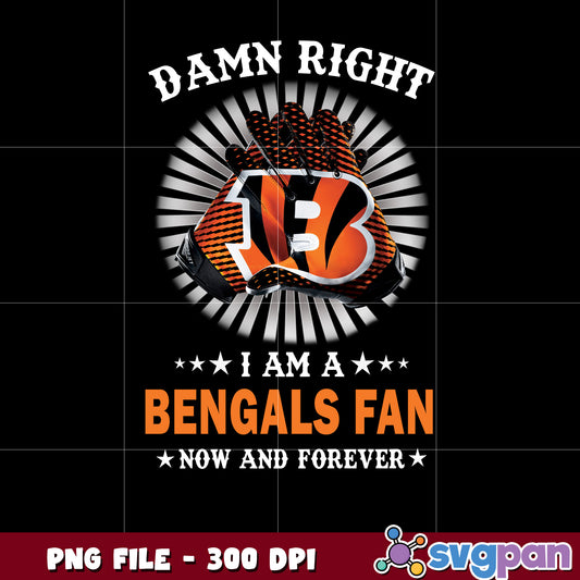 Nfl cincinnati bengals fan club design png, american football fans 2025 png, nfl png