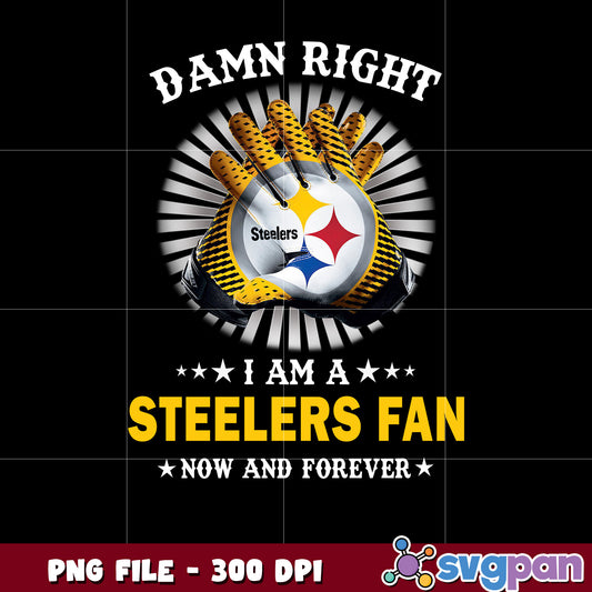 Nfl pittsburgh steelers fan club design png, american football fans 2025 png, nfl png
