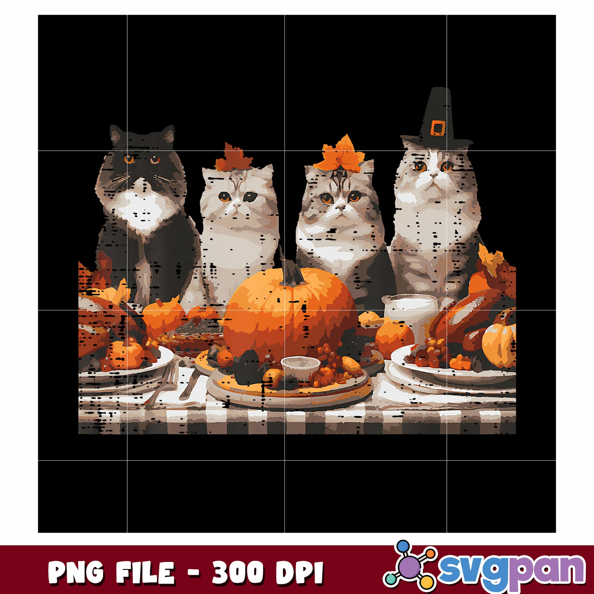 Polite cats png, funny animals png, funny cats png