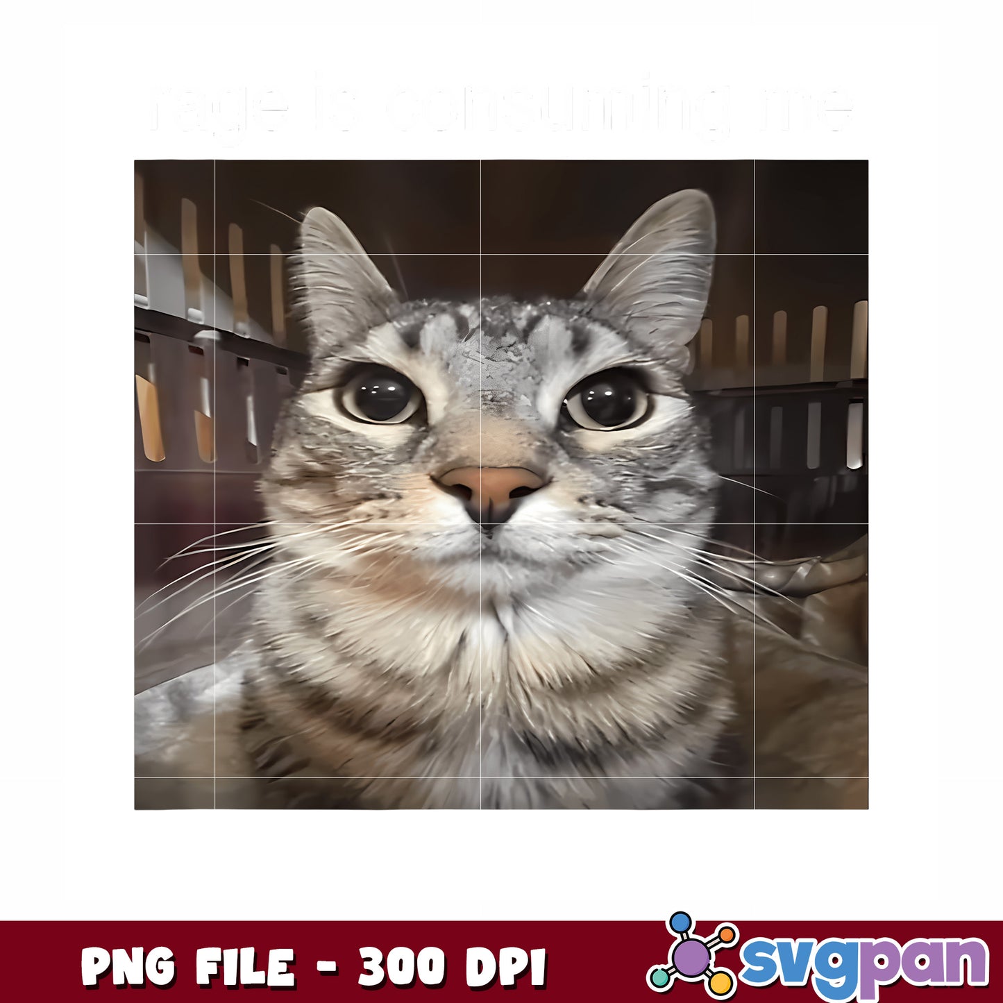 Rage is consuming me png, intense emotion png, powerful quote png