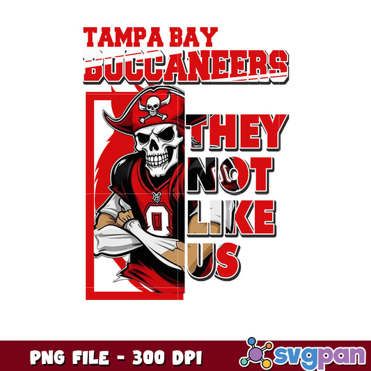 Tampa bay buccaneers design png, national football league png, nfl buccaneers png