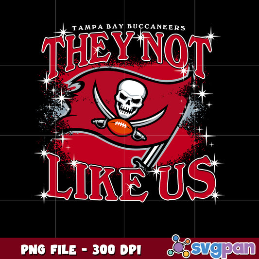 Tampa bay buccaneers team logo they not like us png, nfl buccaneers png, nfl games png