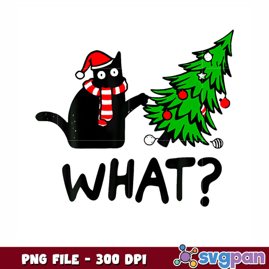 What black cat png, funny animals png, christmas png