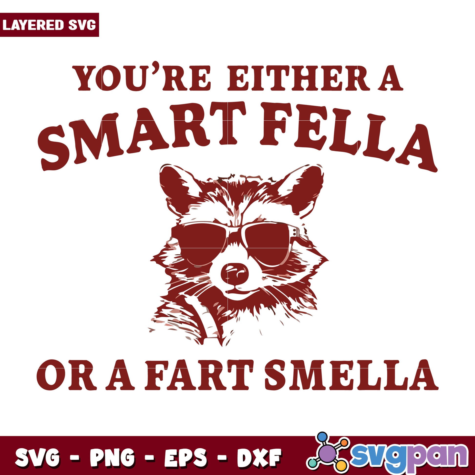 You are either a smart fella svg, rocket raccoon svg, raccoon quote svg