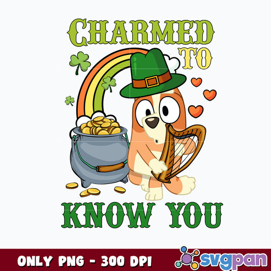 Bluey charmed to Know You St Patricks Day png