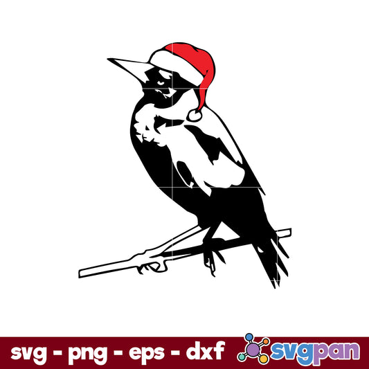 Australian Magpie Aussie Christmas SVG, Christmas SVG, PNG DXF EPS Digital File.